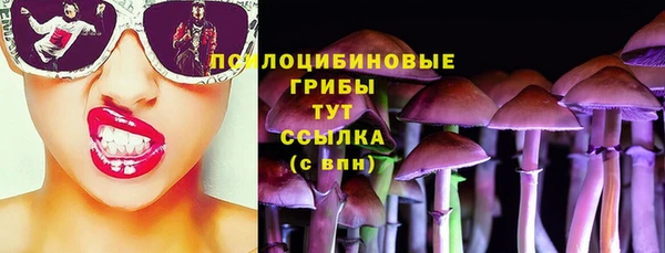 бутират Алзамай