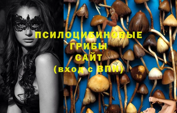 стафф Алексеевка
