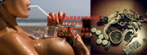 ГАЛЛЮЦИНОГЕННЫЕ ГРИБЫ Алексин