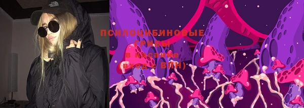 ГАЛЛЮЦИНОГЕННЫЕ ГРИБЫ Алексин