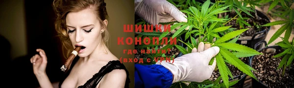 ГАЛЛЮЦИНОГЕННЫЕ ГРИБЫ Алексин