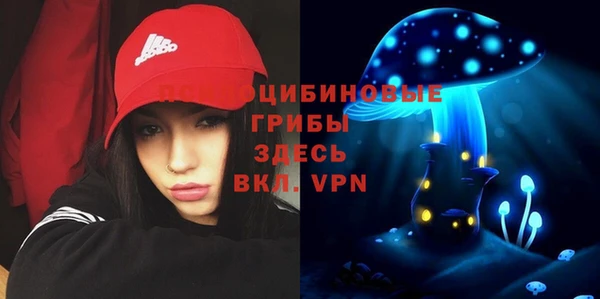 стафф Алексеевка