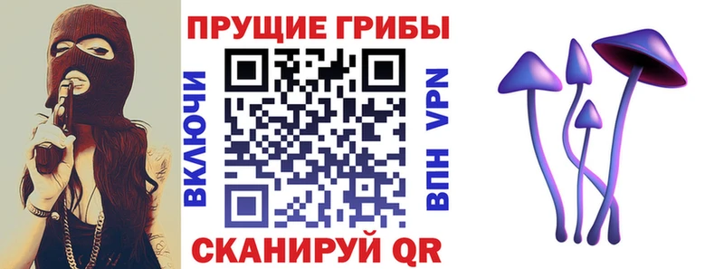 хочу наркоту  Новоуральск  Псилоцибиновые грибы мицелий 